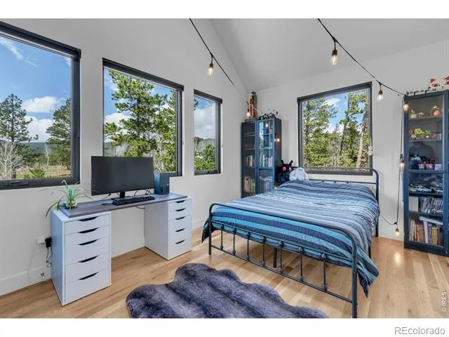 11 Juneau Circle Nederland, CO 80466