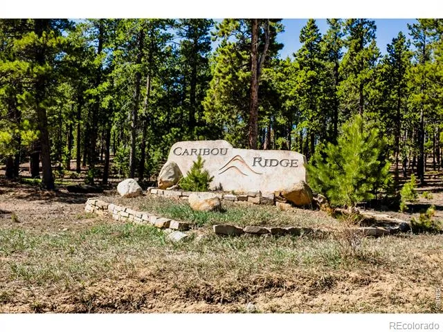 11 Juneau Circle Nederland, CO 80466