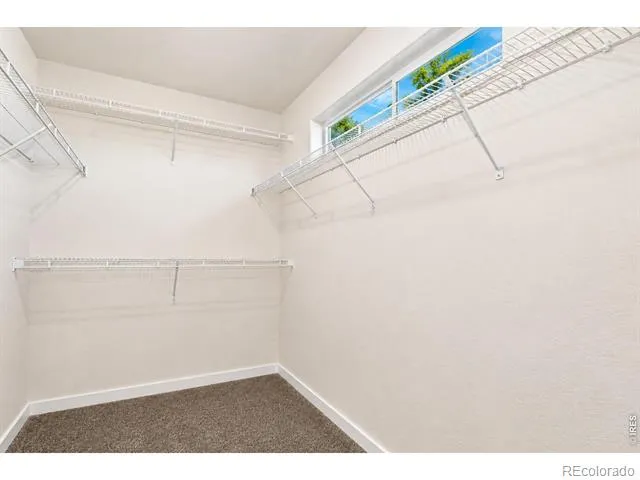 1197 Crown Sparrow Street Johnstown, CO 80534