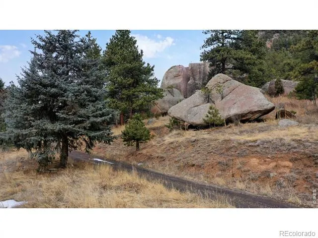 14142 Saint Vrain Drive Lyons, CO 80540
