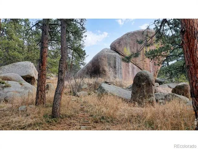 14142 Saint Vrain Drive Lyons, CO 80540