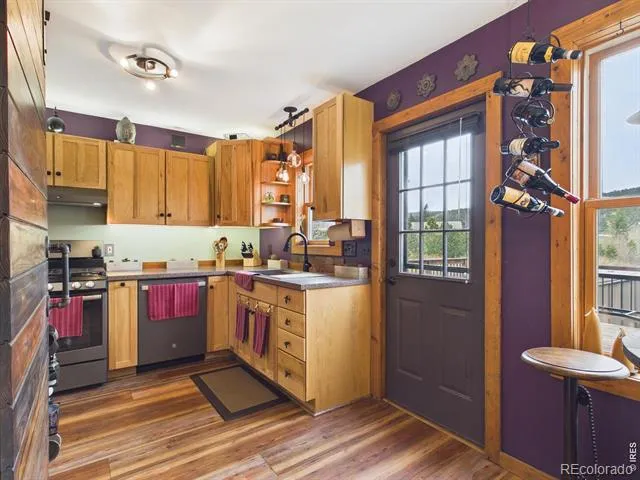 131 W Boulder Street Nederland, CO 80466