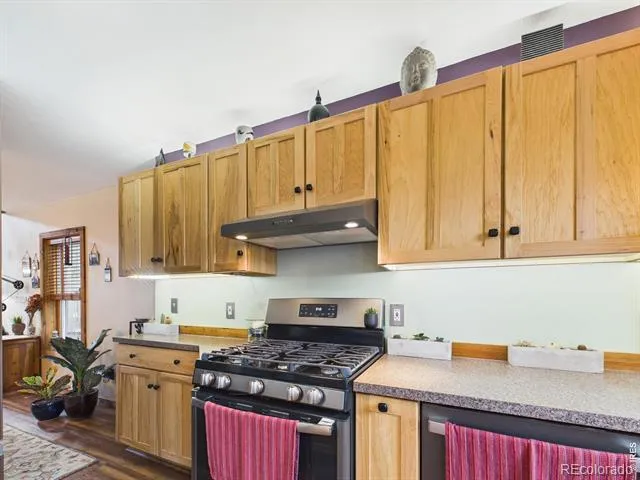 131 W Boulder Street Nederland, CO 80466