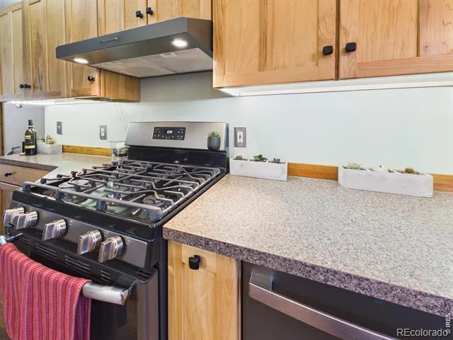 131 W Boulder Street Nederland, CO 80466