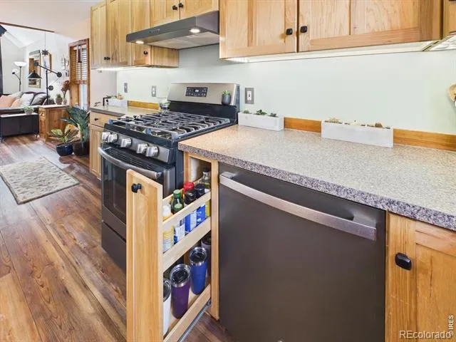 131 W Boulder Street Nederland, CO 80466