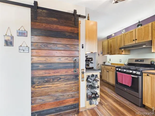 131 W Boulder Street Nederland, CO 80466