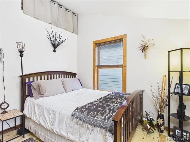 131 W Boulder Street Nederland, CO 80466