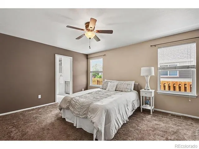 7347 Atlantis Street Wellington, CO 80549