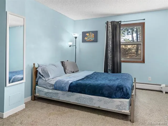 829 Panorama Circle Estes Park, CO 80517