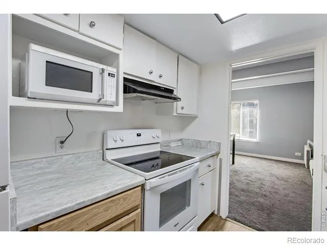 9725 E Harvard Avenue #363 Denver, CO 80231