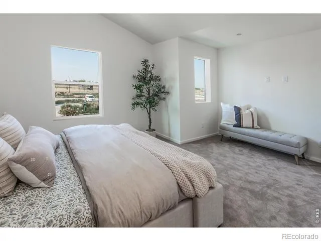 3261 Comet Street Fort Collins, CO 80524