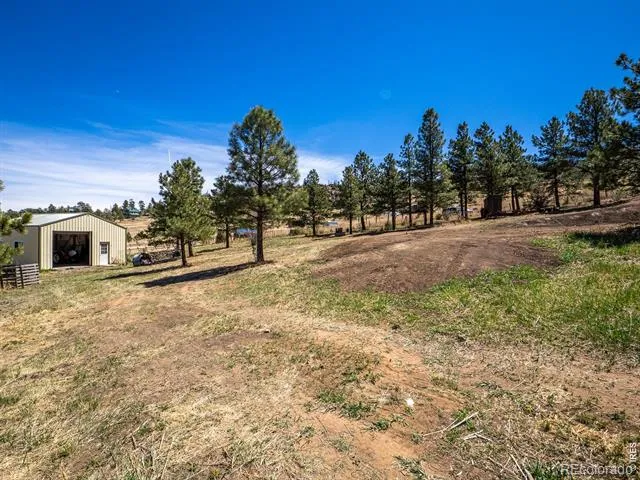 1830 Palisade Mountain Drive Drake, CO 80515