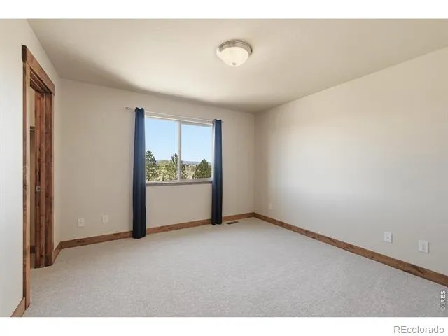 5193 Rock Hill Street Timnath, CO 80547