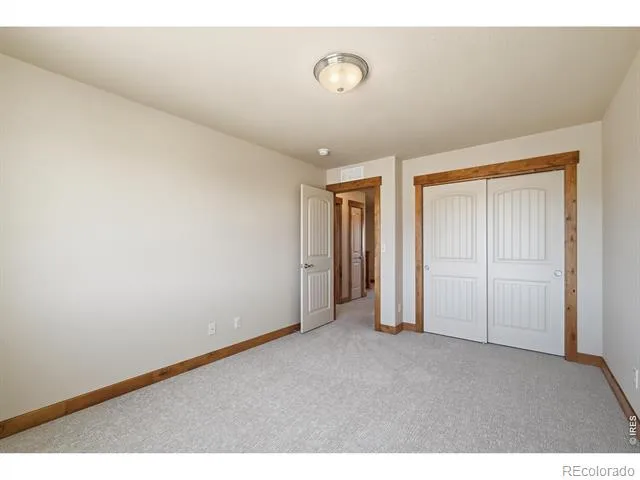 5193 Rock Hill Street Timnath, CO 80547