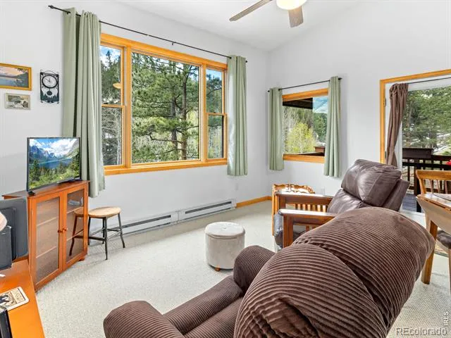 1002 Streamside Drive Glen Haven, CO 80532