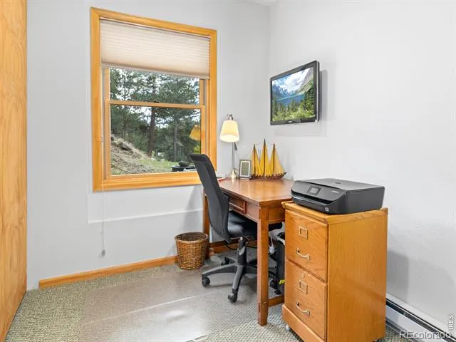1002 Streamside Drive Glen Haven, CO 80532