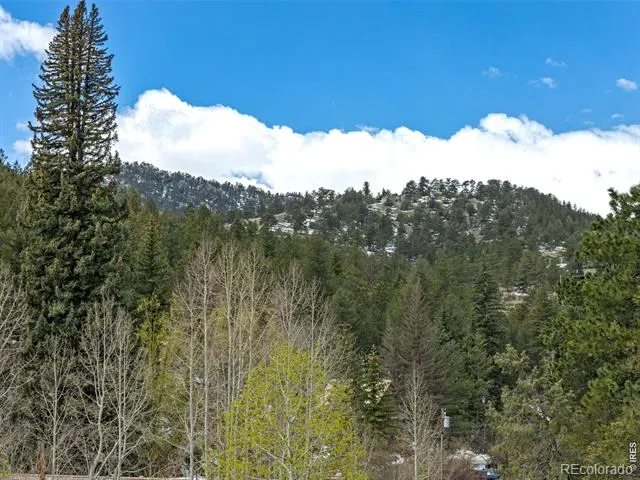 1002 Streamside Drive Glen Haven, CO 80532