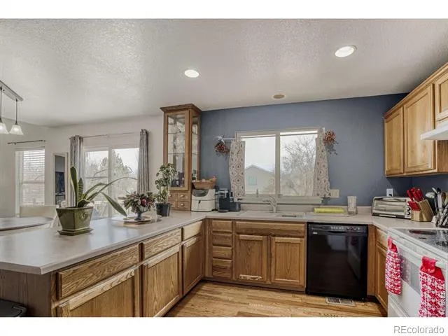 4228 E 94th Place Thornton, CO 80229