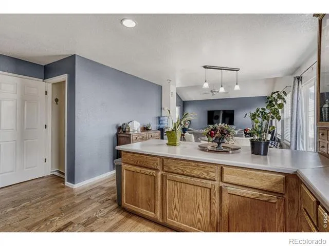 4228 E 94th Place Thornton, CO 80229