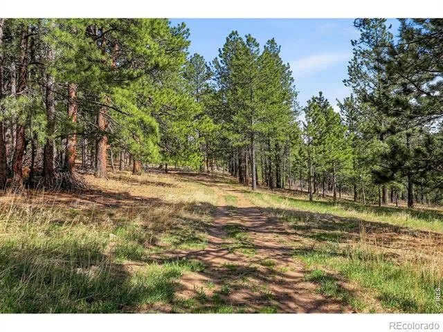 560 Quillan Gulch Road Loveland, CO 80537