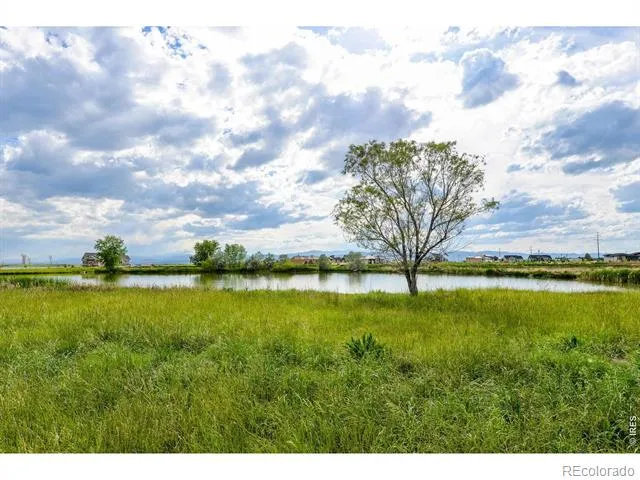 6901 Water View Court Timnath, CO 80547
