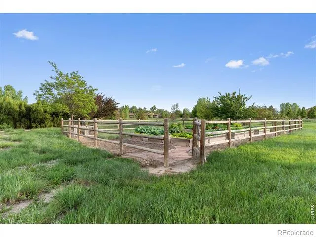 964 Riparian Way Fort Collins, CO 80524