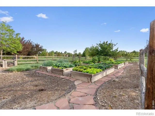 964 Riparian Way Fort Collins, CO 80524