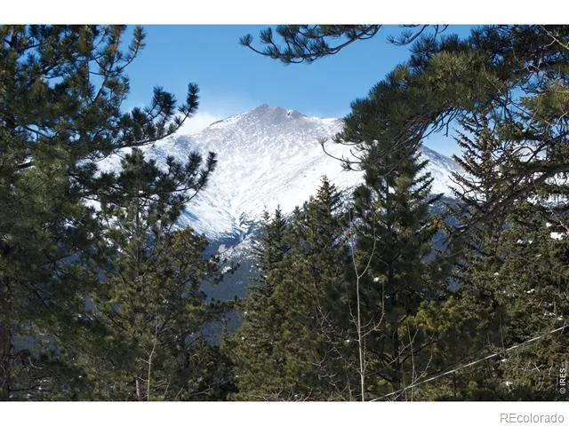 747 Coyote Hill Road Allenspark, CO 80510