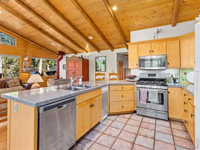747 Coyote Hill Road Allenspark, CO 80510