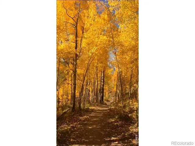 747 Coyote Hill Road Allenspark, CO 80510