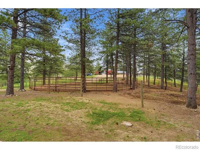 89 Aspen Leaf Lane Bellvue, CO 80512