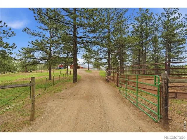 89 Aspen Leaf Lane Bellvue, CO 80512