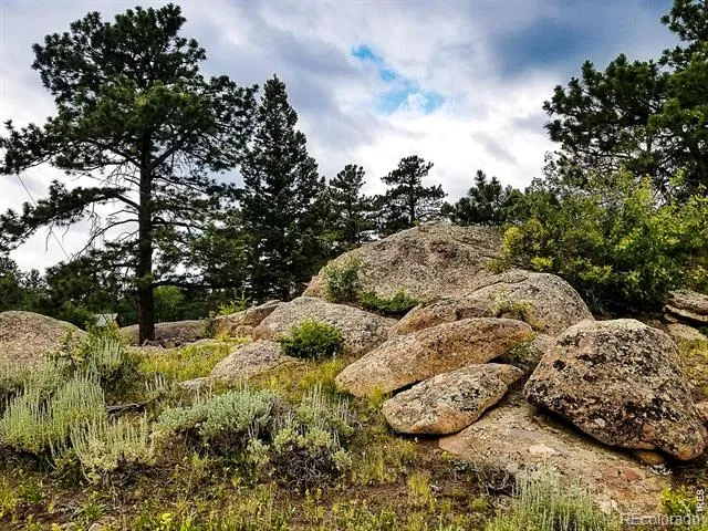 983 Ramona Drive Red Feather Lakes, CO 80545