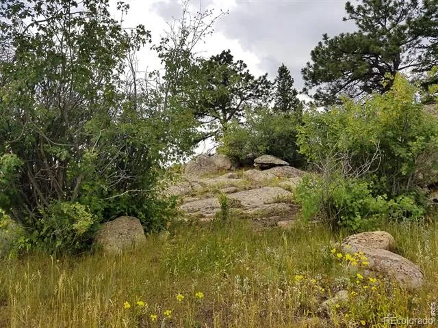 983 Ramona Drive Red Feather Lakes, CO 80545