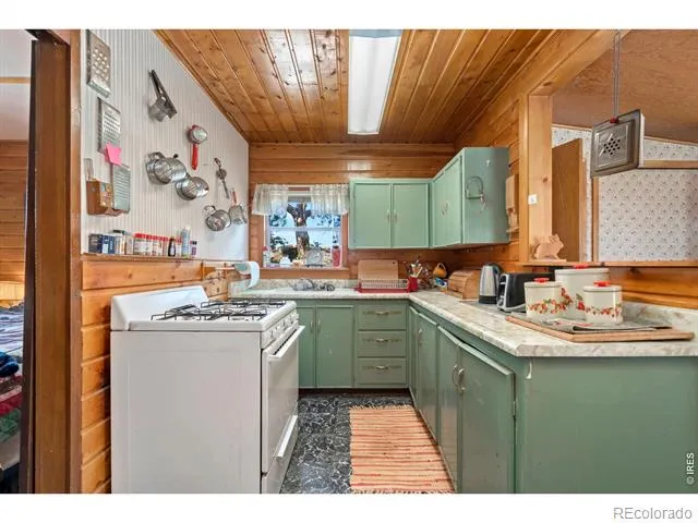 983 Ramona Drive Red Feather Lakes, CO 80545