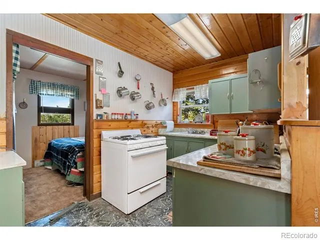 983 Ramona Drive Red Feather Lakes, CO 80545