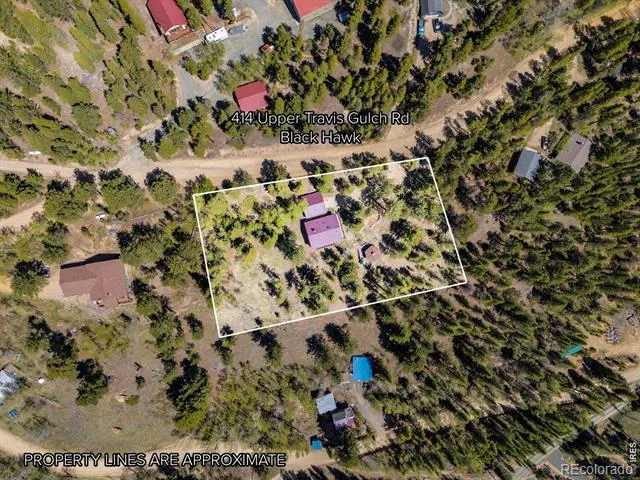 414 Upper Travis Gulch Road Black Hawk, CO 80422