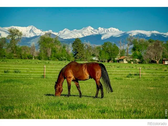 2300 75th Street Boulder, CO 80301