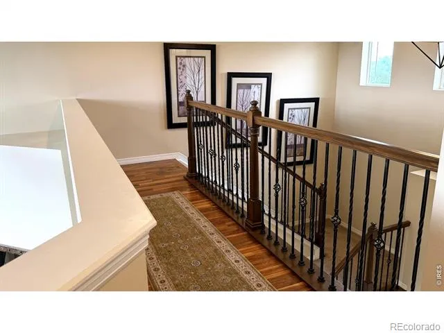 4613 Pompano Drive Windsor, CO 80550