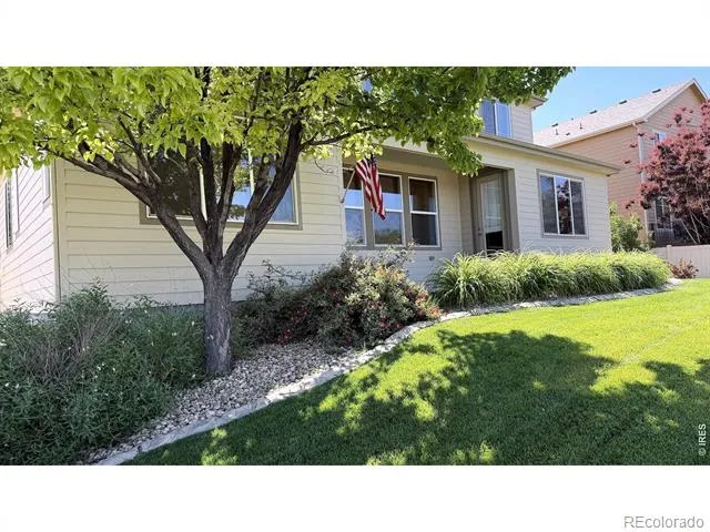 4613 Pompano Drive Windsor, CO 80550