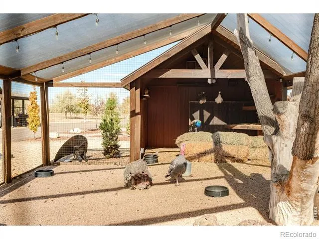 9816 County Road 7 Road Longmont, CO 80504