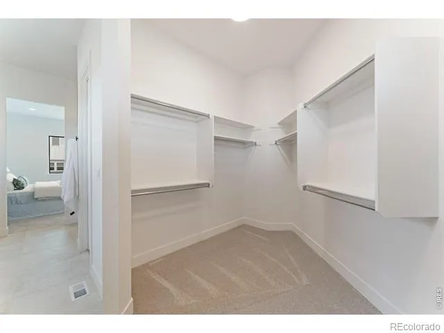 864 Doubleleaf Drive Windsor, CO 80550