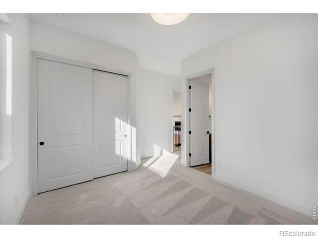864 Doubleleaf Drive Windsor, CO 80550