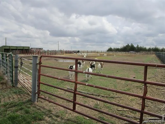 5576 County Road G Joes, CO 80822