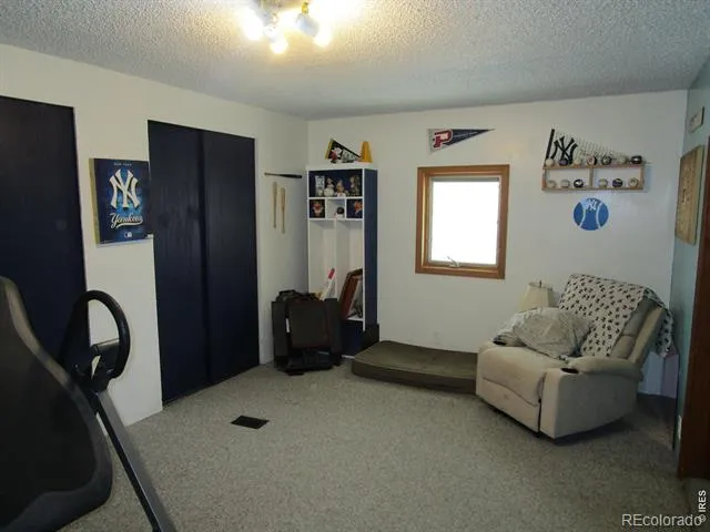 5576 County Road G Joes, CO 80822