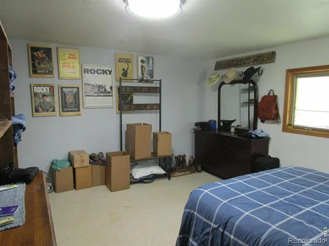 5576 County Road G Joes, CO 80822