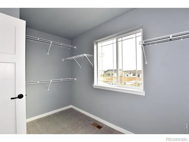 1141 Crown Sparrow Street Johnstown, CO 80534