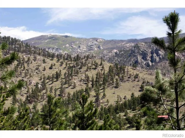 255 Miller Fork Road Glen Haven, CO 80532
