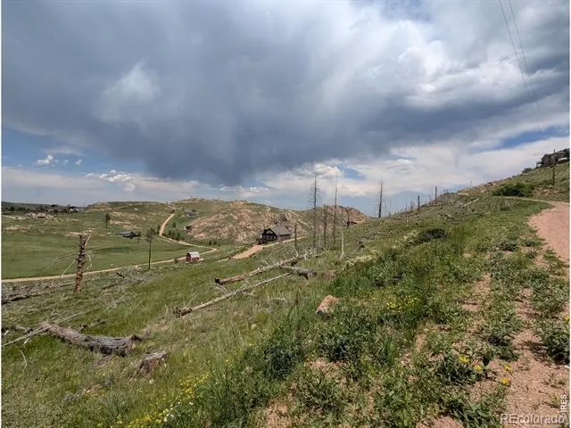 598 Mount Mcconnell Drive Livermore, CO 80536