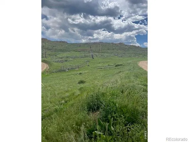 598 Mount Mcconnell Drive Livermore, CO 80536